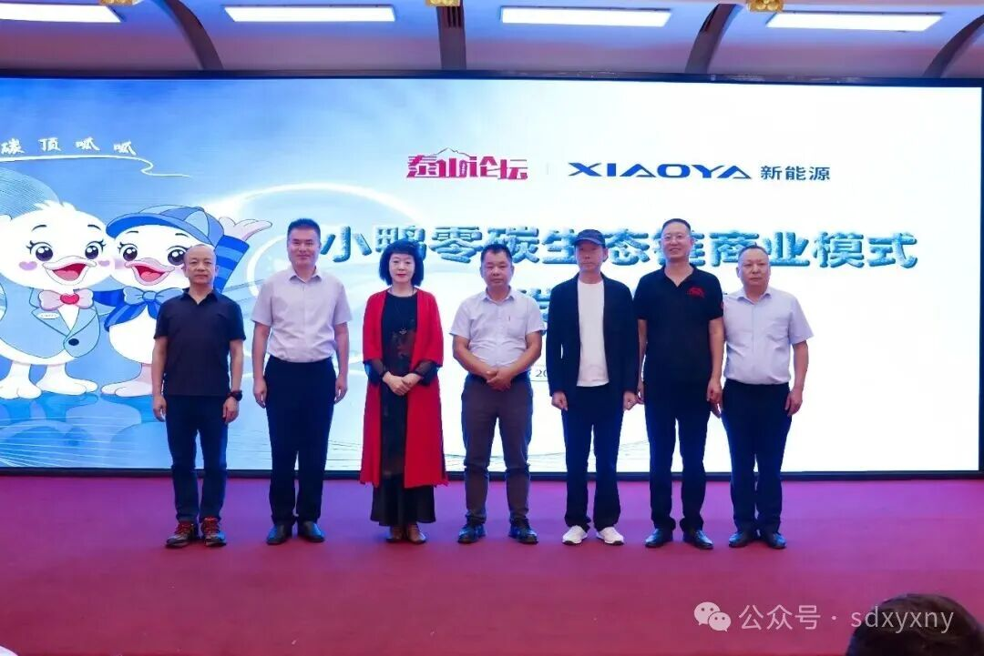 图片 6